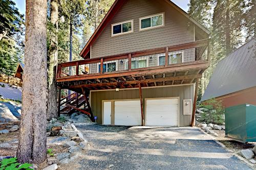 Conifer Donner – Photos 2