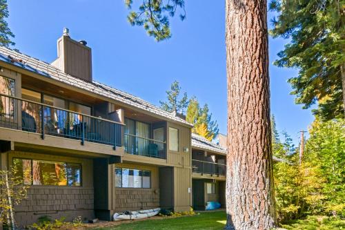 Tahoe Treasue – Photos 5