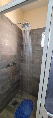 a shower in a bathroom with a blue rug at super condo with fiber optic internet in Puerto Peñasco