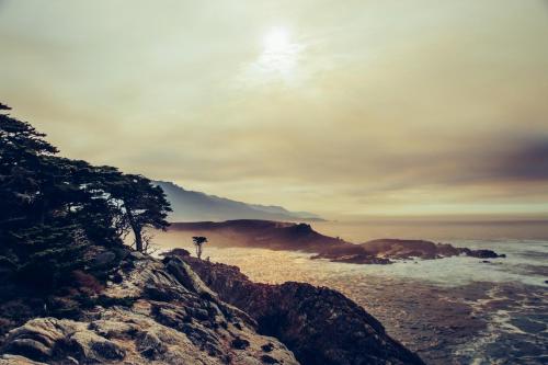 Shasta Retreat Haven – Photos 2