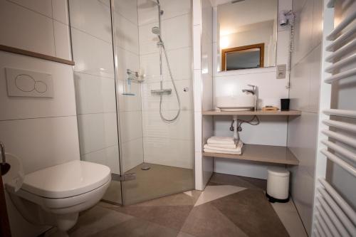 a bathroom with a shower and a toilet and a sink at Schmiede Hotel in Schoenberg