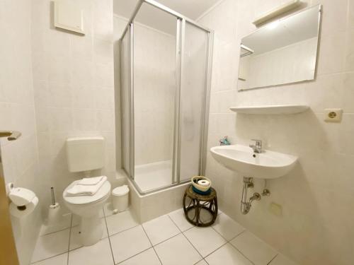 een badkamer met een douche, een toilet en een wastafel bij Landpension Dubnitz Landpension Dubnitz - Ferienwohnung 4 