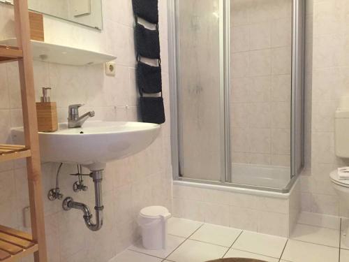 y baño con lavabo y ducha. en Landpension Dubnitz Landpension Dubnitz - Ferienwohnung 7, 