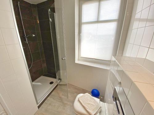 uma casa de banho com um chuveiro, um WC e um lavatório. em Appartements am Rondell Neddesitz, Appartement 307 em Neddesitz