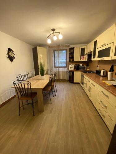 a kitchen with a table and chairs in a room at CHALET Orsova in Orşova