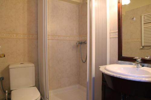 y baño con ducha, aseo y lavamanos. en Apartamentos Chuanon, en Sahún