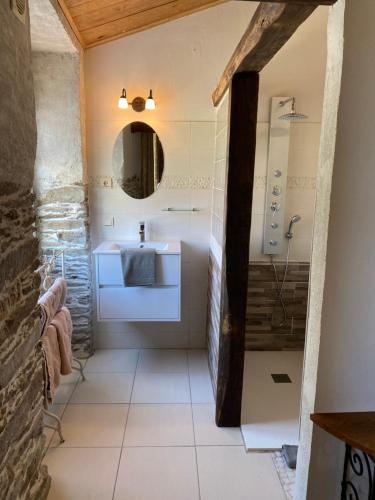 a bathroom with a sink and a shower and a mirror at Maison d'Hôtes Hameau de Taur in Villefranche-dʼAlbigeois