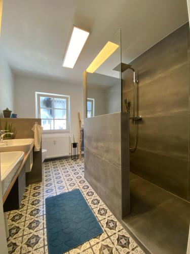 a bathroom with a shower and a sink at Ferienwohnung Lieselotte in Diez