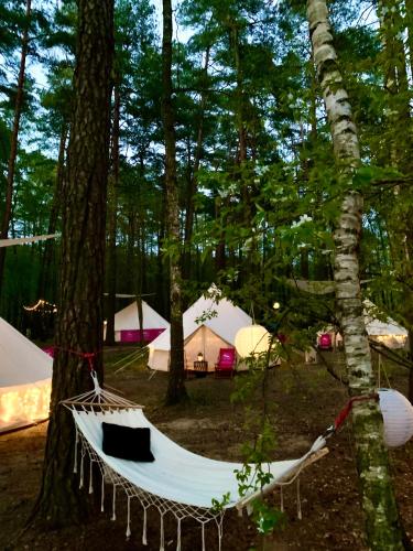 a hammock in the middle of a forest with tents at Caravana Juliana - Glamping in Swaderki