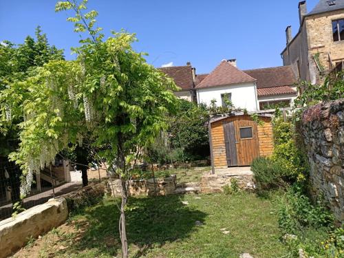 a small tree in a yard next to a house at Maison de caractère au cœur de la cité médiévale de Gourdon in Gourdon-en-quercy