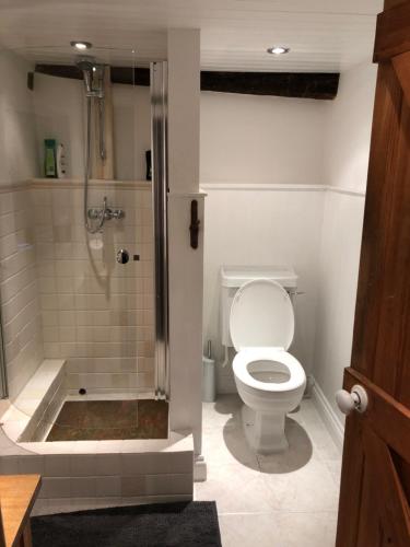 a bathroom with a toilet and a shower at Traditional 18th Century Welsh Cottage in Llandovery