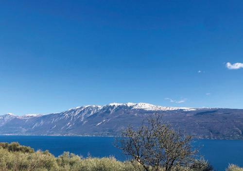 Gallery image of B&B Il Sogno nel Borgo in Gargnano