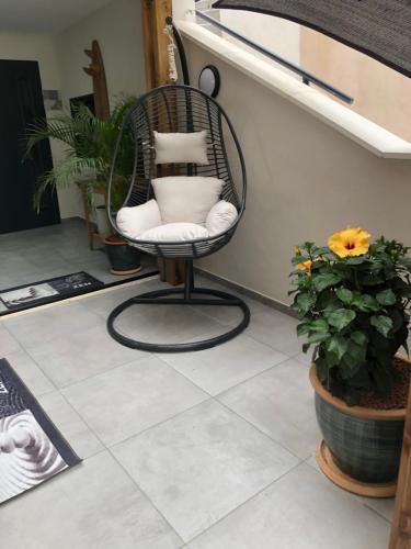 Gambar di galeri bagi LE JARDIN D EDEN di Frontignan