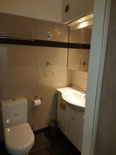 a bathroom with a white toilet and a sink at Arman Group Basement Loft in Athens