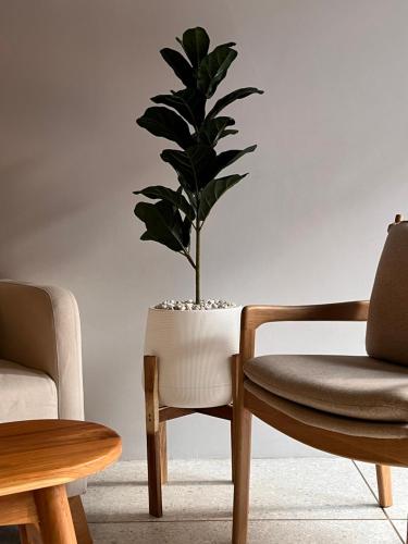 a plant in a white pot next to two chairs at The Nhorm Hotel Ratchada in Bangkok