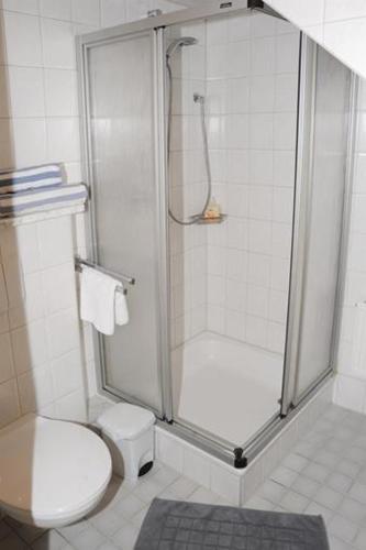 a bathroom with a shower and a toilet at Gästehaus Nigg in Eisenberg