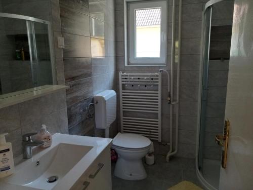 y baño con aseo, lavabo y ducha. en Lovely 2-bedroom appartment with free parking, en Dobrova