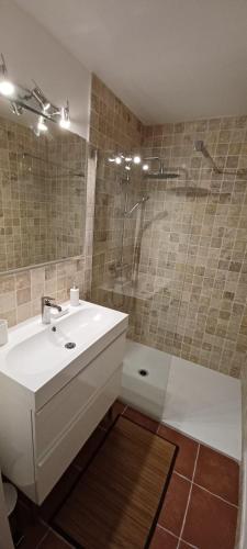 une salle de bain avec un lavabo et une douche dans l'établissement Mas Christiane, à Buis-les-Baronnies