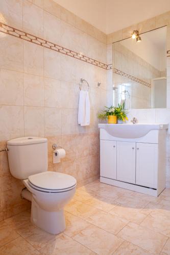 a bathroom with a toilet and a sink at Epidavros Land Villa Orfeas in Ancient Epidauros