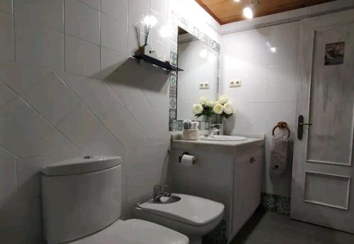La salle de bains blanche est pourvue de toilettes et d'un lavabo. dans l'établissement CHECK-IN CASAS La casa de Teresa, à Benasque
