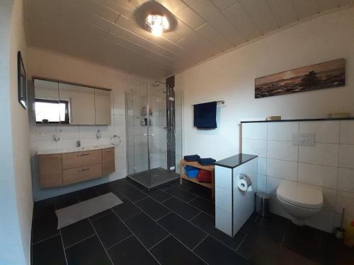 a bathroom with a toilet and a shower in it at Ferienwohnung 75m² Terrasse Parkplatz WallBox Nürburgring in Herresbach