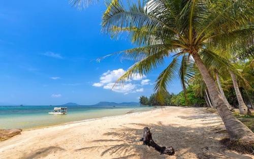 Bãi biển gần/ngay tại khách sạn