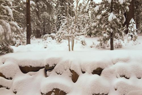 a garden covered in snow with trees in the background at Walk-Friendly Truckee House in Truckee