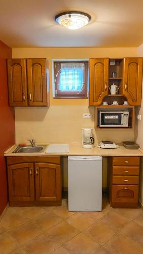 a kitchen with a sink and a microwave at Bajor Panzió Bük-Bükfürdő, Adults Friendly 12 Plus in Bük