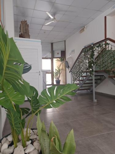 a plant in the middle of a room with a staircase at TERPSICHORE Holiday Apts in Limassol
