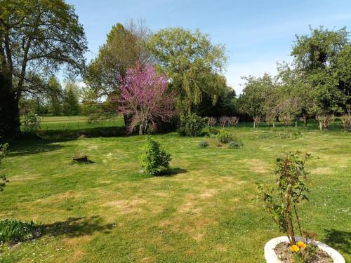 een grasveld met bomen op de achtergrond bij Le domaine du bengal 2 in Veuil