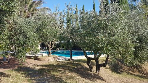 Villa Marae – Photos 5