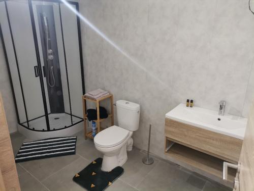 a bathroom with a shower and a toilet and a sink at Le caillou Blanc in Charleroi