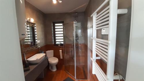 a bathroom with a shower and a toilet and a sink at ŹRÓDLANE WZGÓRZE in Lesko