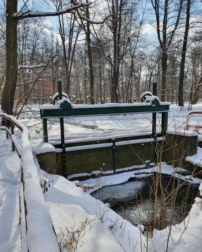 a pond in a park covered in snow at Apartamenty Magiczna Wenecja in Cieszyn