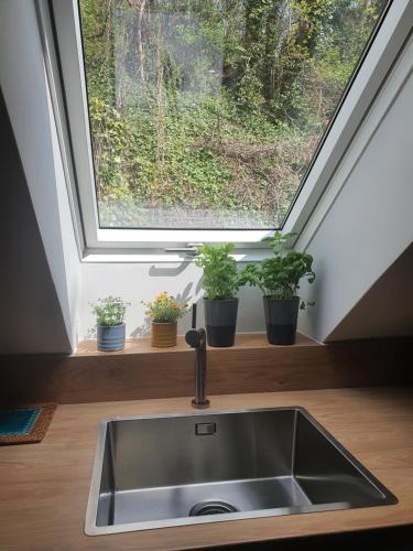 a kitchen sink in front of a window with potted plants at Apartamenty Magiczna Wenecja in Cieszyn