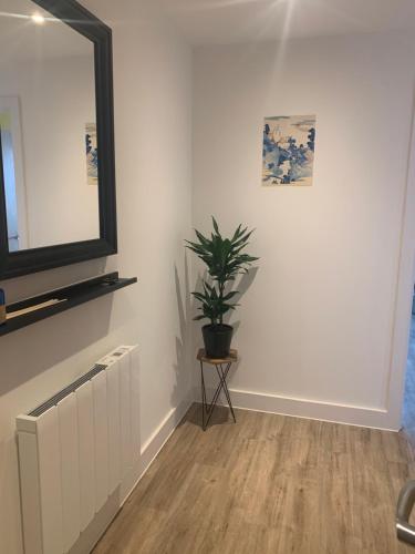 a room with a mirror and a potted plant at The Retreat in Weston-super-Mare