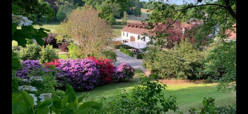 an aerial view of a garden with flowers at De Molenhoeve in Voeren