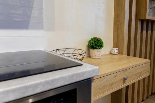 Kuchyň nebo kuchyňský kout v ubytování Remezzo Luxury Apartments