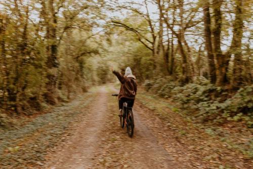 Photo de la galerie de l'établissement Parcel Tiny House I Ferme de Beaulieu, à Vibraye
