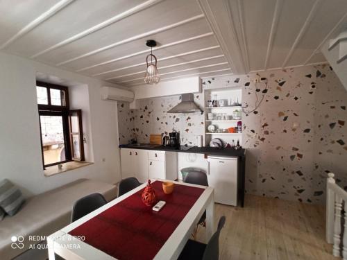 Casa Topane