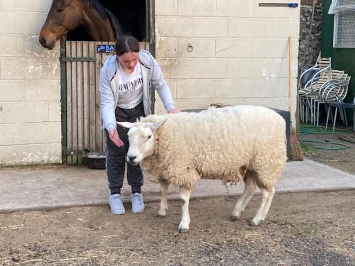 a woman standing next to a sheep next to a horse at Roslin Glamping in Roslin