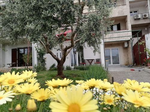 Vonkajšia záhrada v ubytovaní Leona apartment Vidikovac, Pula
