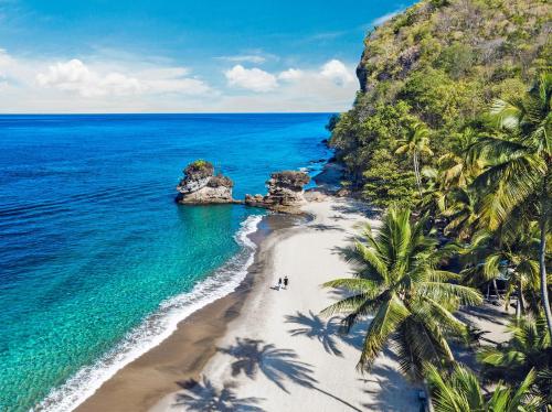 an aerial view of a beach with palm trees and the ocean at Jade Mountain in Soufrière