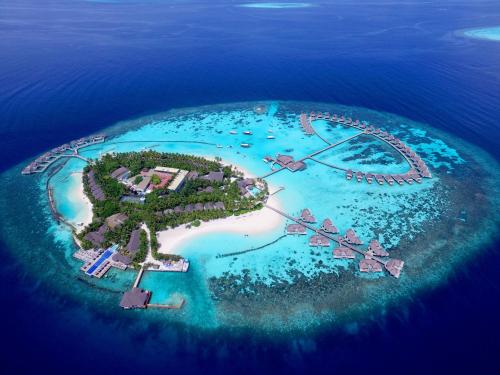 The Centara Collection, Machchafushi Island Resort & Spa Maldives - Stay 4 nights or more, enjoy 25 percent off Seaplane transfers, valid for stays from 10 Apr to Sep 2026