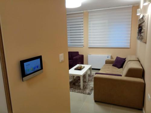a living room with a couch and a tv at Apartment Cherry Gold in Zrenjanin