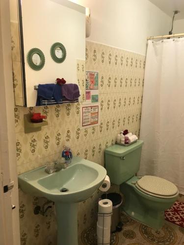 a bathroom with a green toilet and a sink at 310Guest-House La Vida in San Juan