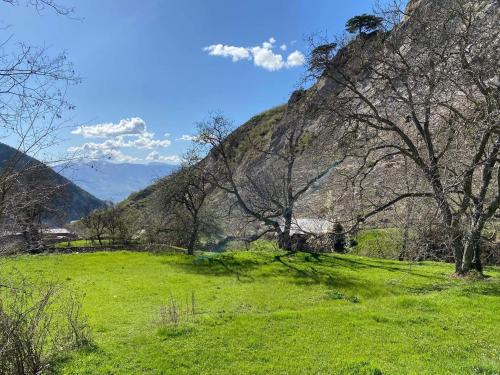 a green field with trees and mountains in the background at Guest House Sabriu in Rabdisht