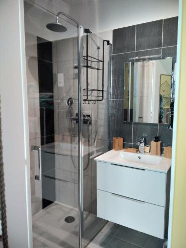 une salle de bain avec douche et lavabo dans l'établissement Un Nid Douillet en bord de plage !!, à Lucciana