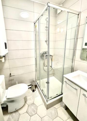 une salle de bain avec douche et toilettes dans l'établissement Appartement La Guignette, à La Rochelle
