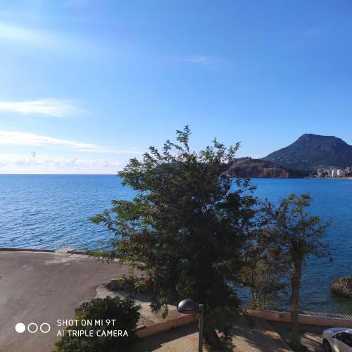 a tree on the side of the water at Acacia apartmani Sutomore in Sutomore